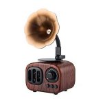 اسپیکر گرامافون as90 | اسپیکر گرامافون مدل as90 | اسپیکر فلش خور گرامافون | اسپیکر طرح گرامافون | خرید اسپیکر گرامافون |