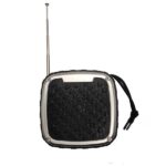 اسپیکر بلوتوثی قابل حمل G10 یک اسپیکر بلوتوثی رومیزی یا رادیو بلوتوثی میباشد که از قابلیت های فراوانی برخوردار است.